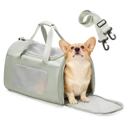 WEPLAN Animal Carrier in 20.8"L x 14.2"W x 13.4"H, Mint Green
