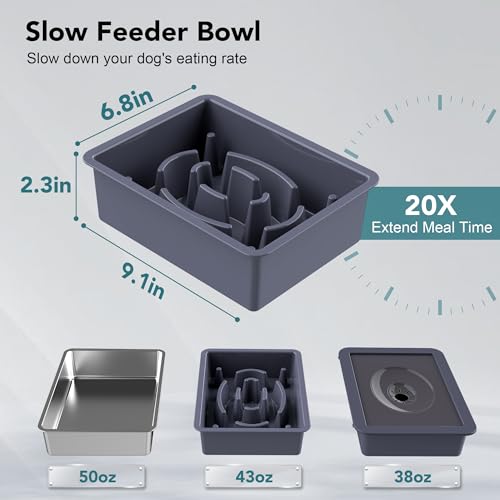 UPSKY Pet Feeder in F-3 in 1 Blue