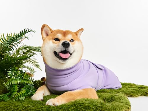 Haloumoning Pet Apparel in X-Small, Purple