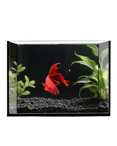 minilake Vivarium in 3 Gallon, Black