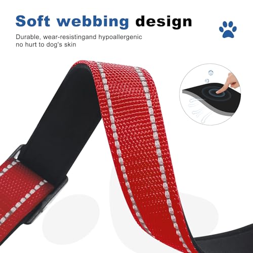 GDLKPS Animal Collar in XS:3/4" Wide for 11.5"-13.5" Neck, Red