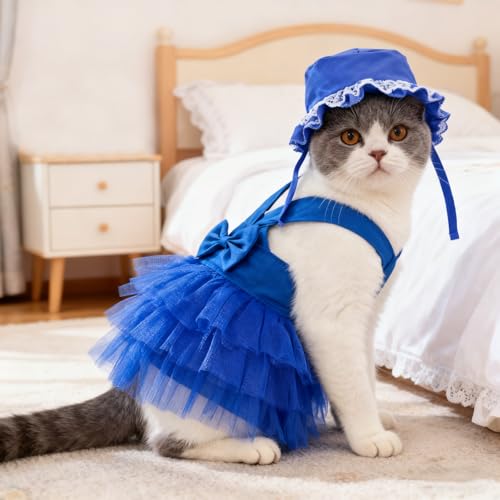 apott Pet Apparel in Small, Blue
