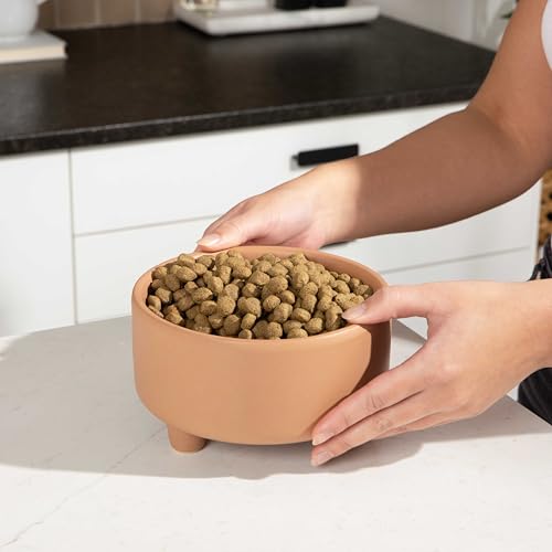 Waggo Pet Feeder in Small, Clay