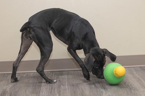 Starmark Pet Toy in Small (Pack of 12), Green, purple, and yellow