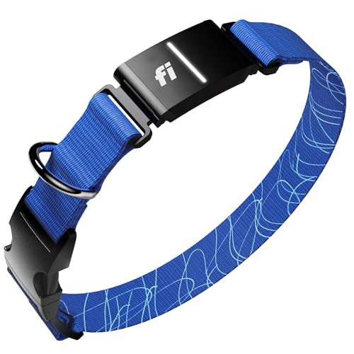 Fi Location Tracker in X-Small, Blue