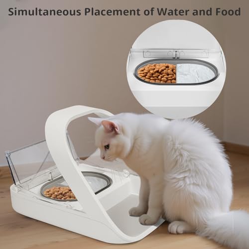 Baofum Pet Feeder in 2+1 Pack, Grey Bowls