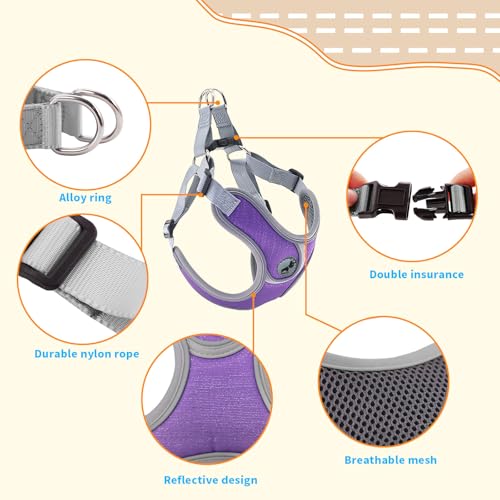 SAEGYPET Animal Harness in XS, Purple