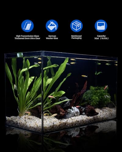 minilake Vivarium in 5 Gallon, Black