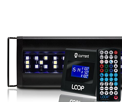 CURRENT Lamp in 48 to 60-Inch, Remote Control