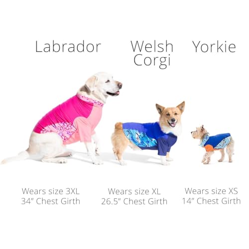PlayaPup Pet Apparel in XX-Small, Bianco