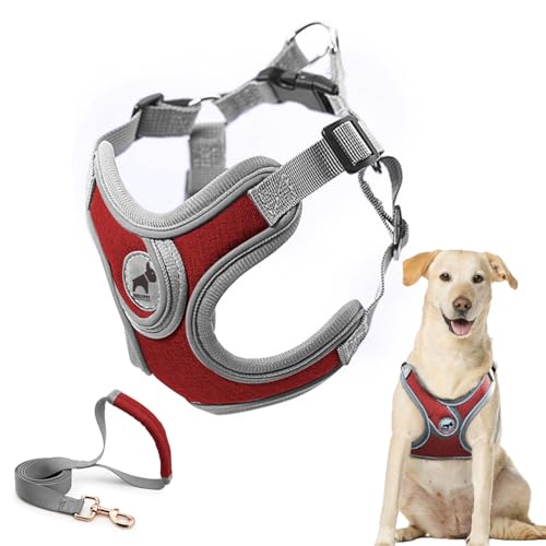 SAEGYPET Animal Harness in L, Red