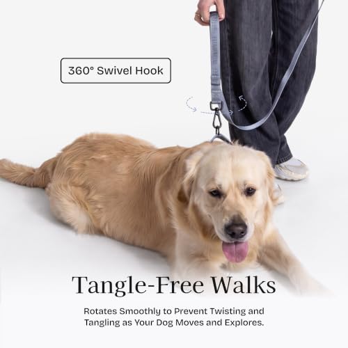 Fei and Eve Leash in 4FT, Dusk Blue