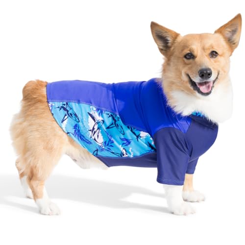 PlayaPup Pet Apparel in Medium, Lagoon