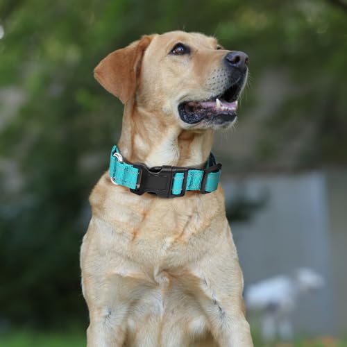 GDLKPS Animal Collar in XS:3/4" Wide for 11.5"-13.5" Neck, Green