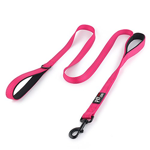 PLUTUS PET Leash in 4 FT, Pink