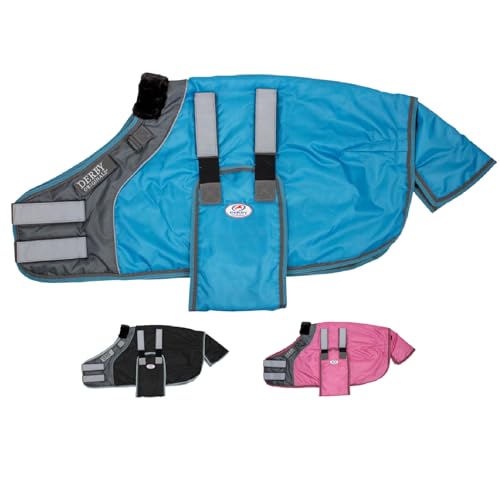 Derby Originals Pet Apparel in Small(30"-36"), Hurricane Blue