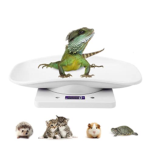 DWSFADA Weigh Scale in 11.42x7.09x1.57 Inch (Pack of 1), 22 lb Scale