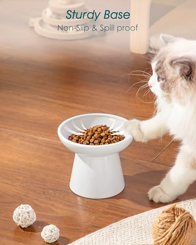 vancasso Pet Feeder in 2 Pack-Food Bowls, White