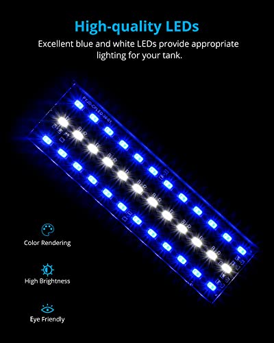 NICREW Lamp in For Freshwater, Blue,White