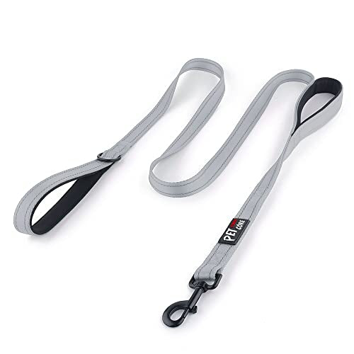 PLUTUS PET Leash in 4 FT, Gray