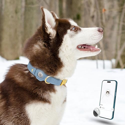 BUDKAS Animal Collar in XS, 9"-12" Neck Fit, Cornflower