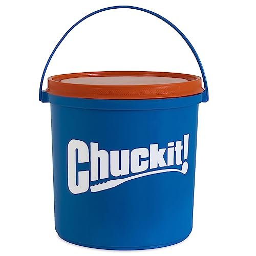 Chuckit! Pet Toy in Medium, Ultra