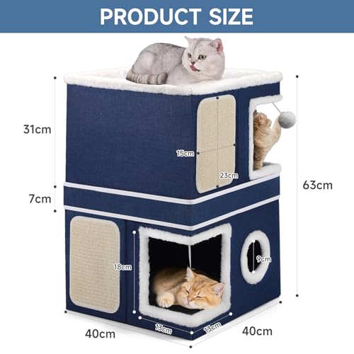 Shikha Animal Shelter in Double, Blue