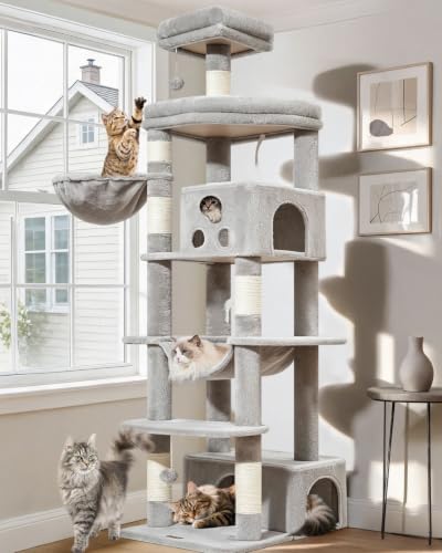 Taoqimiao Pet Activity Structure in 79 inch, Light Gray