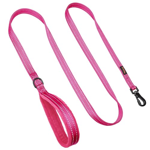 Didog Leash in 3/4''x 4 FT, Hot Pink