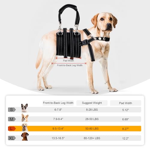 CWV Animal Harness in Large, Black