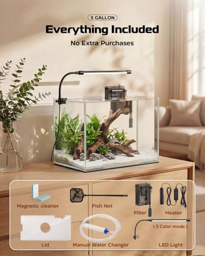 minilake Vivarium in 5 Gallon, Transparent
