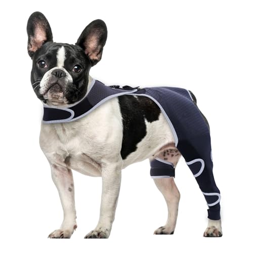 Furtent Pet Apparel in S, black