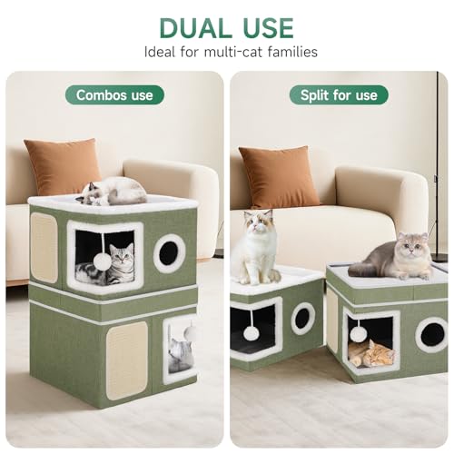 Shikha Animal Shelter in Double, Green