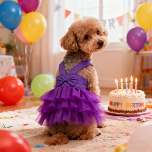 apott Pet Apparel in Small, Purple