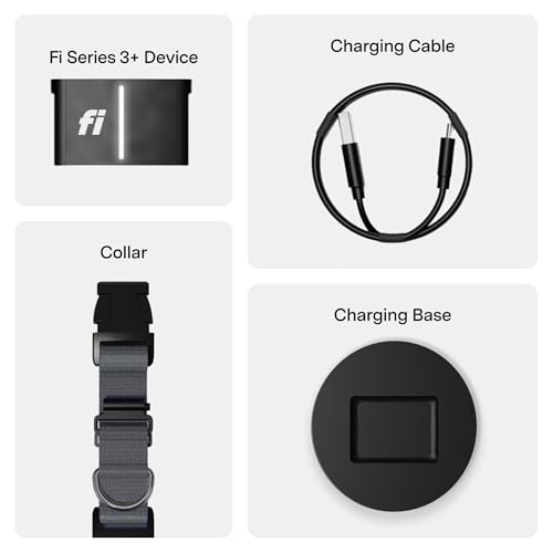 Fi Location Tracker in X-Small, Gray