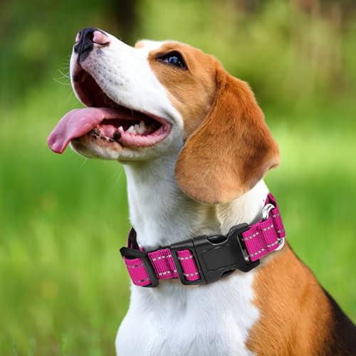 GDLKPS Animal Collar in XS:3/4" Wide for 11.5"-13.5" Neck, Rose Red