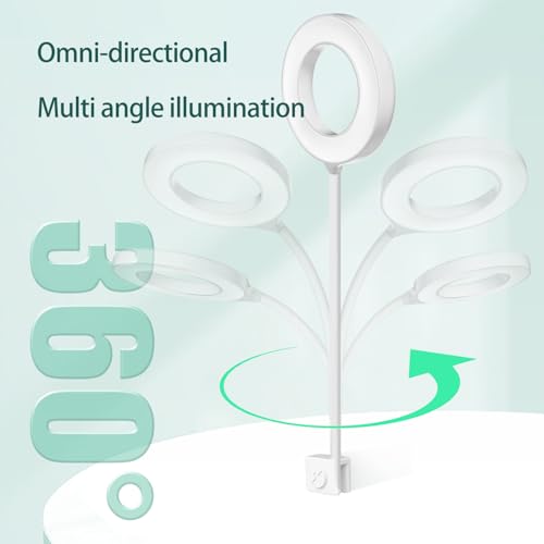 Teddykala Lamp in Oval+BlueWhite+Timer+Dimmer+8 Gal, White
