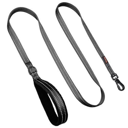 Didog Leash in 3/4''x 4 FT, Black