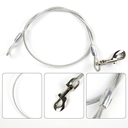 CROWN PAWS Leash in Large, Blue