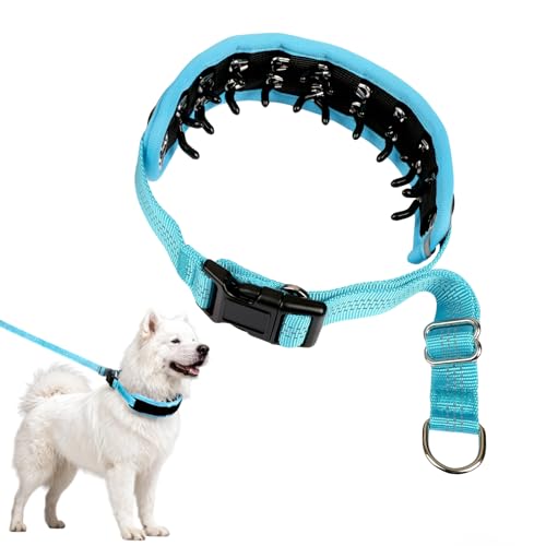 NozlaID Animal Collar in M(15"-19.5"), Blue