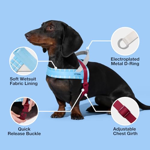 VETRESKA Animal Harness in XS(Chest: 16.9"-22"), Mist & Merlot