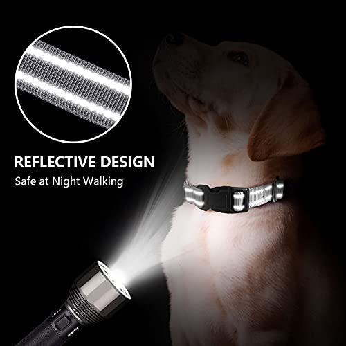 Hikiko Animal Collar in Small, Sliver