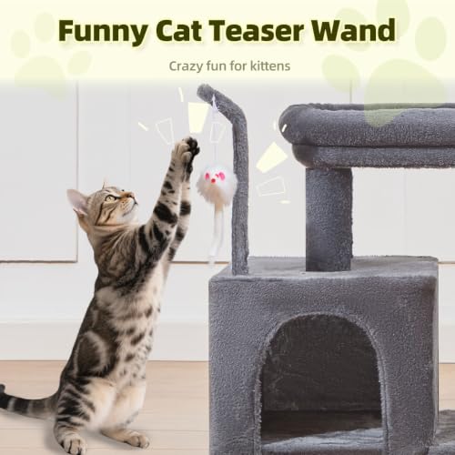 Taoqimiao Pet Activity Structure in L, Smoky Gray