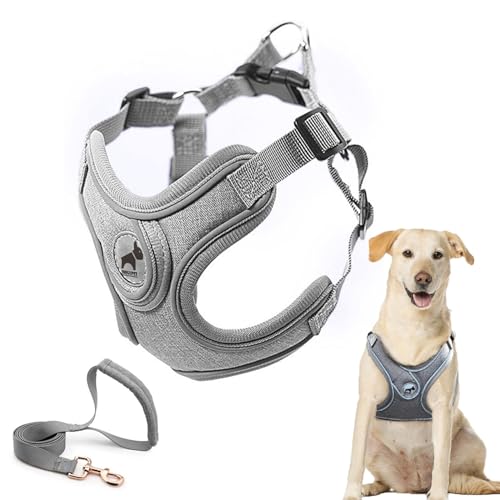 SAEGYPET Animal Harness in L, Gray