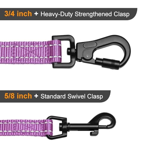 Didog Leash in 3/4''x 4 FT, Purple