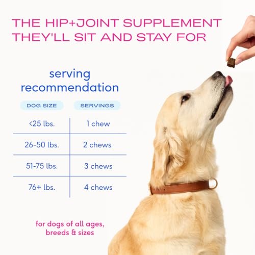 Native Pet Animal Nutritional Supplement in 60 Servings, Mobility Care
