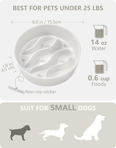 MOPANG Pet Feeder in 6 Inches, White