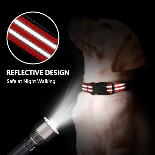 Hikiko Animal Collar in Small, Tangerine