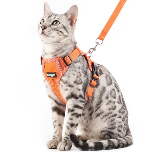 pangdi Pet Supplies in Small, Orange