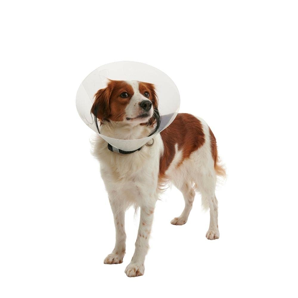 Buster Animal Recovery Collar Cone in 30cm